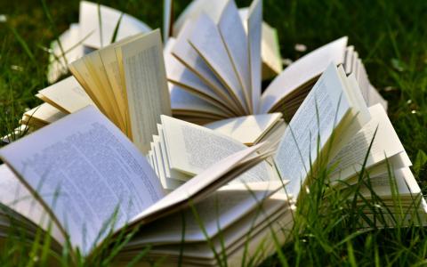 Symbolbild: Lesen